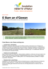 E Bam an d'Gewan 1
